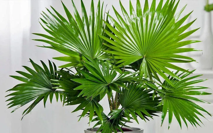 Giá trị của câu chuyện