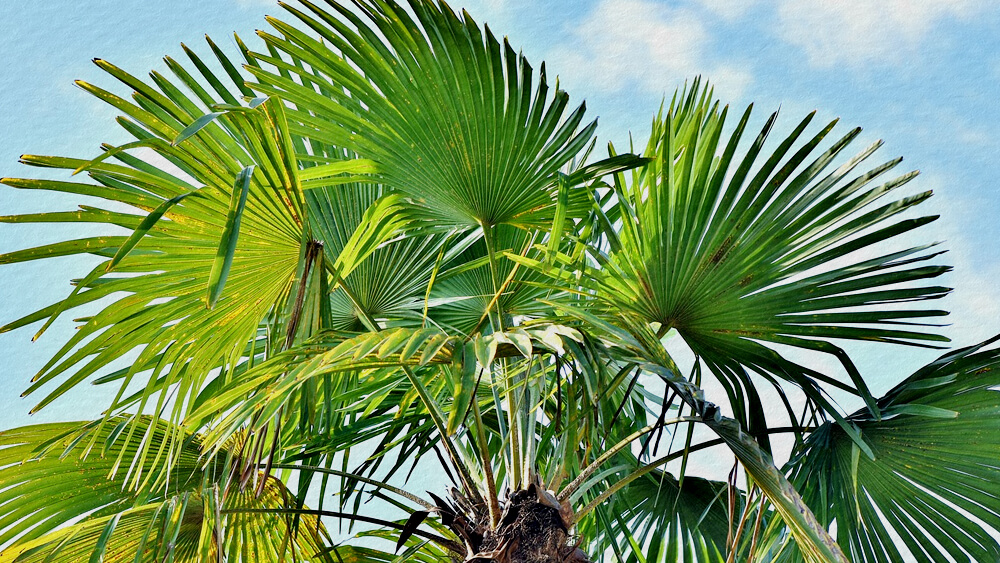 Bối cảnh câu chuyện