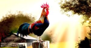 Sự xấu hổ và bài học