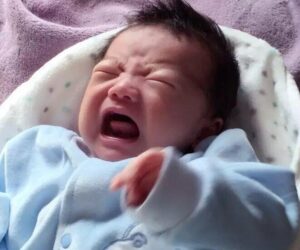 Dấu Hiệu Đặc Trưng Của Trẻ Sơ Sinh